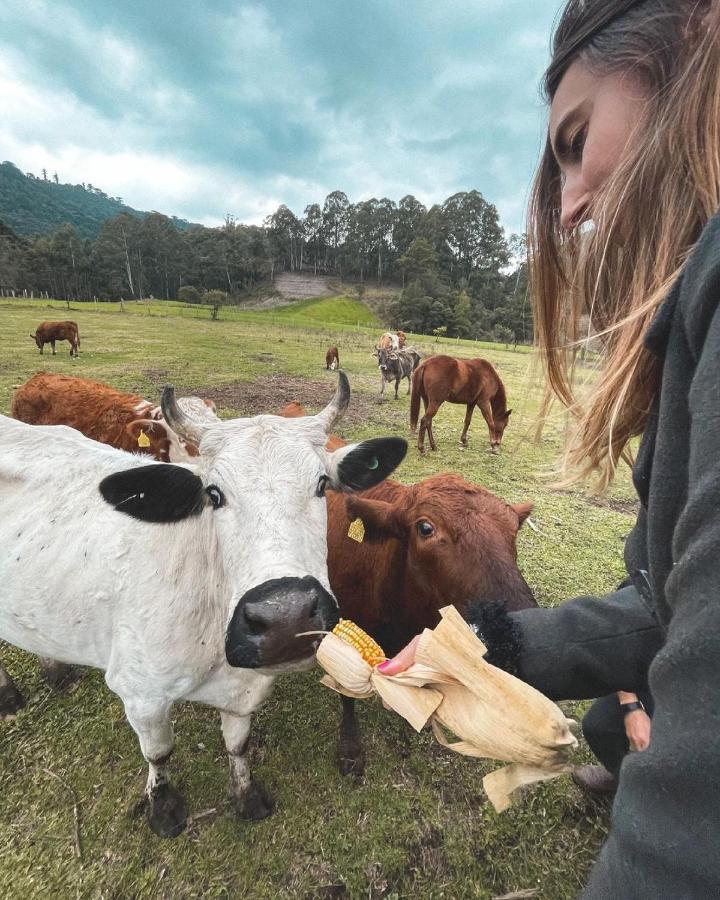 Hospedagem Rural Recanto Do Riacho Урубиси Экстерьер фото